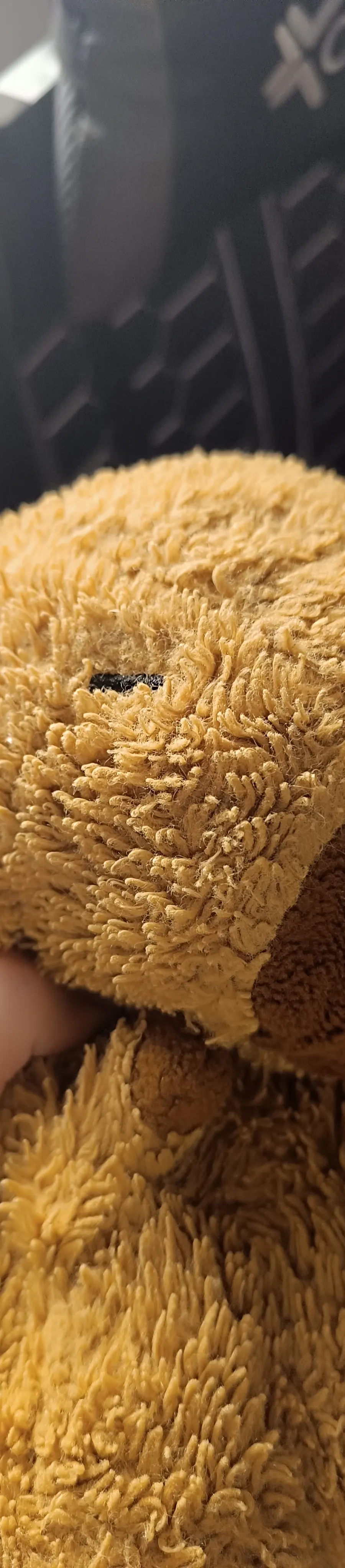 Foto de Mogo mogo